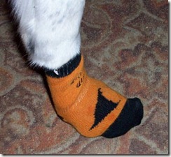 Socks1
